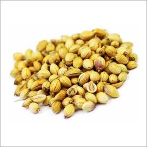 Dhaniya Seed - Dried & Ground Light Brown, Zero Additives | Lemony Flavor, Fresh Aroma, Versatile Uses