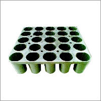 Root Trainers