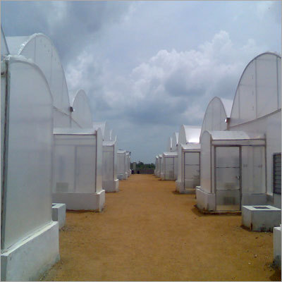Garden Green House