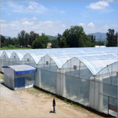 Greenhouse Cover