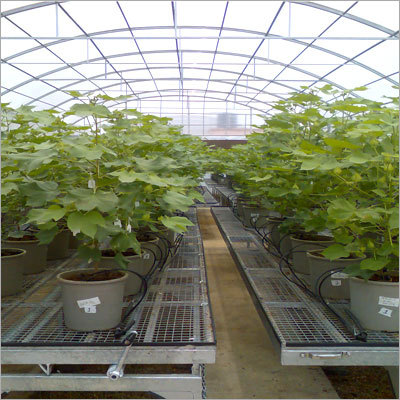 Garden Netting Greenhouse