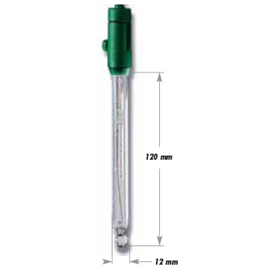 Combination Ph Electrode