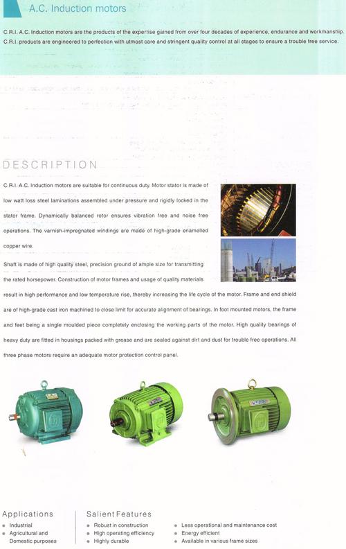 Ac Induction Pumping Motor
