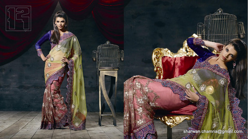 Designer Net Saree