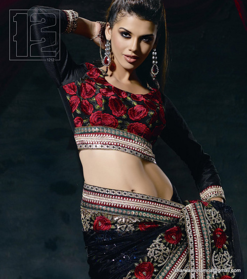 Nevy Blue Net Saree
