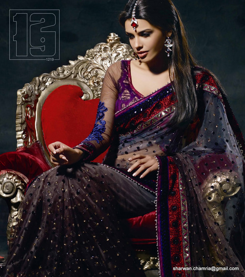Exclusive Net Saree