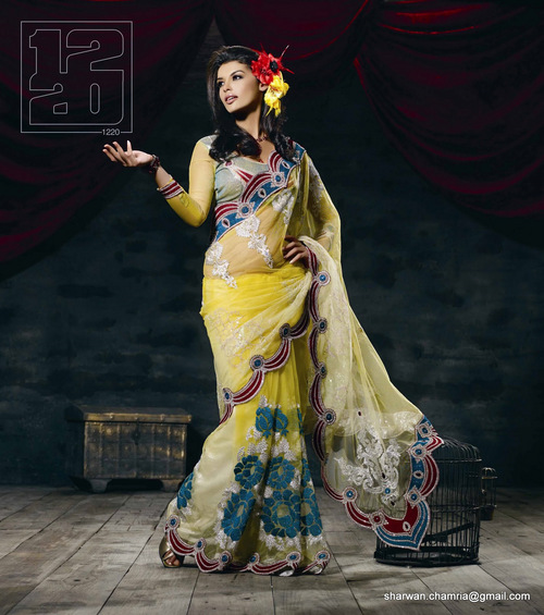 Net Designer Saree