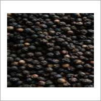 Black Pepper
