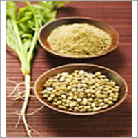 Coriander Powder