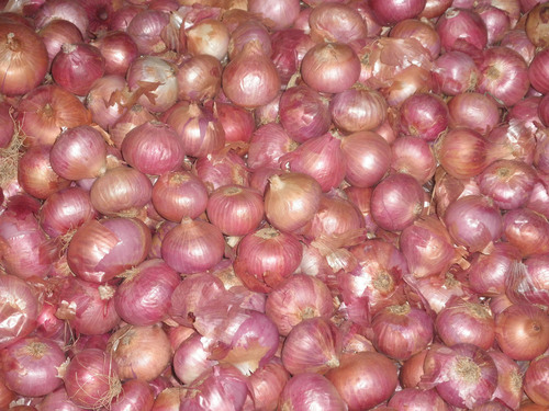 Onion Vegatable