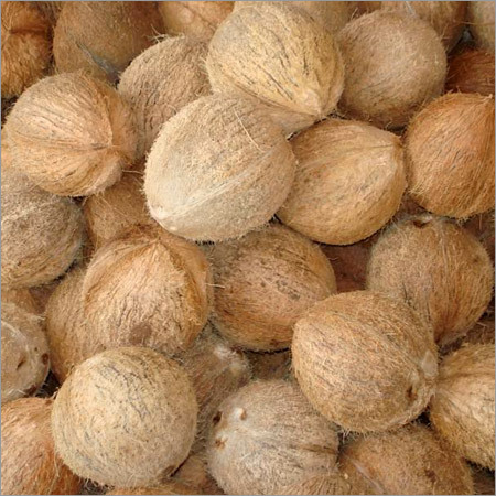 Fresh Coconut