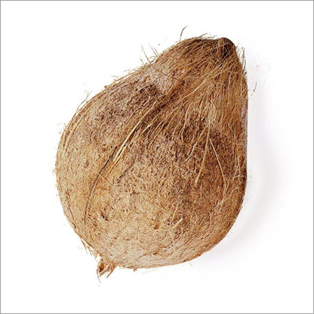 Coconut
