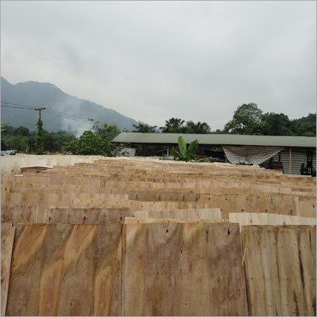 Core Wood Veneer