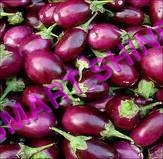BRINJAL
