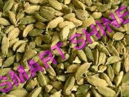 Cardamom
