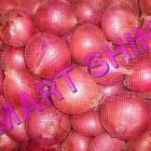 Onion