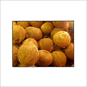 Textile Enzymes