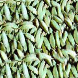 Cardamom Oil