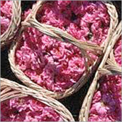Rose Oil
