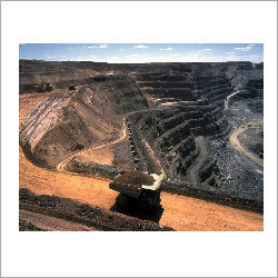 Mining Management Services
