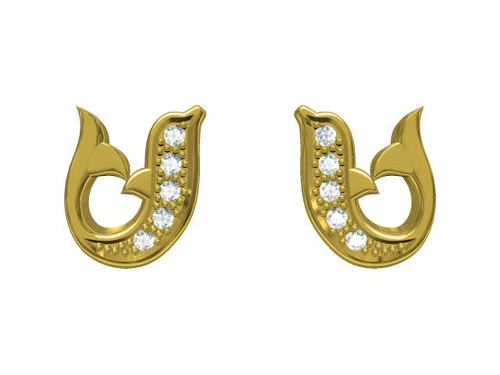 Earring Jewellery
