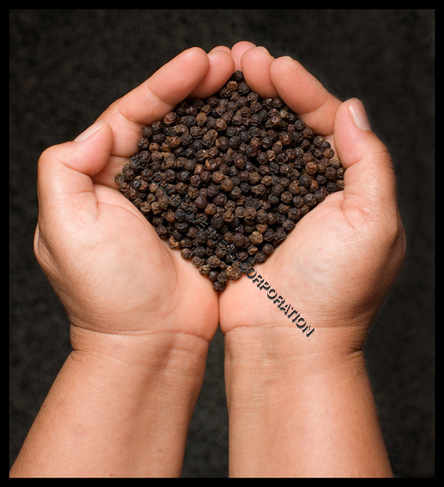 Black Pepper