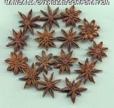 STAR ANISEEDS
