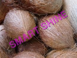 Coconut