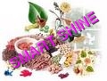 siddha medicine