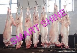 भेड़े का मांस