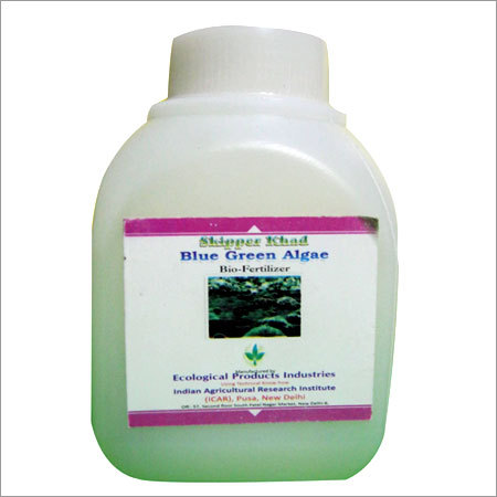 Blue Green Algae