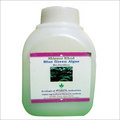 Blue Green Algae