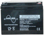 SMF Battery ( 12V-42 AH )
