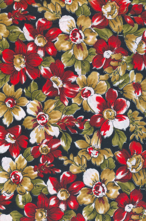 Procian Prints
