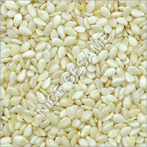 Hulled White Sesame Seed