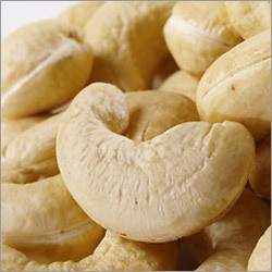 Cashew Nuts Raw