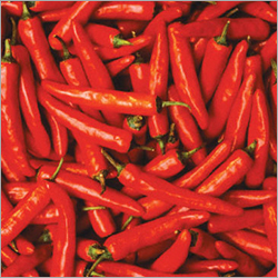 Red Chilli