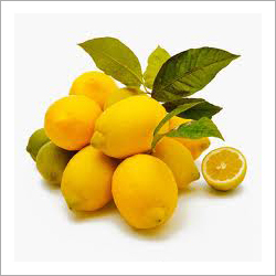 Fresh Lemon