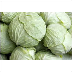 Cabbage
