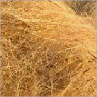Coir Fibre