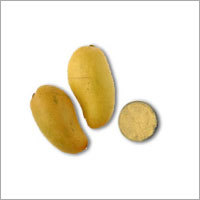 Dried Mango