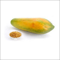 Dried Papaya