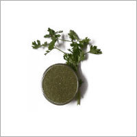 Dry Coriander