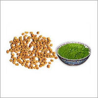 Dried Fenugreek