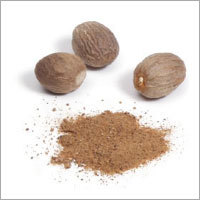 Dry Nutmeg