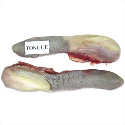 Fresh Buffalo Tongue