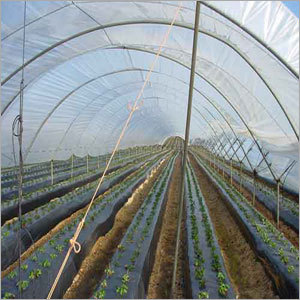 Mulch Films - Polyethylene Customizable Length and Width Black Color | UV Resistant Early Yields Soil Improvement Weed Control Water Saving