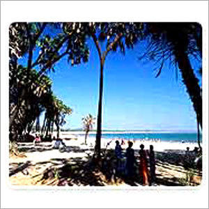Domestic & International Packages