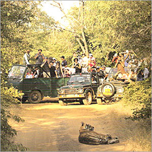 Sasan Gir Tour Package