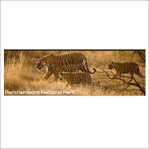 Gir Wildlife Safari Tour